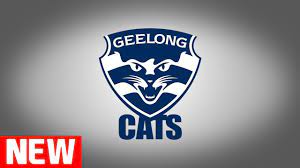 Geelong cats with their 2011 afl premiership cup. New Geelong Cats Theme Song 2018 Youtube