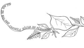 See more ideas about drawings, flower drawing, art drawings. For Certain Kinds Of Flowers Confluence