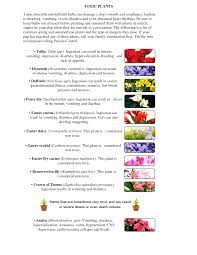 The dangling tubular flowers are a favorite of hummingbirds, with all parts of the plant being safe for cats and dogs. Spring Brings Dangers For Dogs Dolly The Doxie