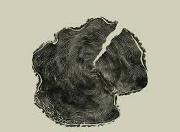 Woodcut by Bryan Nash Gill — Art/Photography Books -- Better Living Through  Design