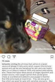 Pin By Kim On Dogs Food Animals Dog Food Recipes Fatty Acids
