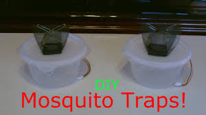 Maybe you would like to learn more about one of these? 6 Diy Mosquito Traps That Are Dirt Cheap To Make The Homesteading Hippy