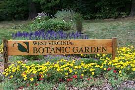 A strong water flowing from a dam of the monongahela river in morgantown, west virginia. West Virginia Botanic Garden Visitmountaineercountry Com