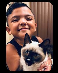 My mama thinks these colors are so pretty and rich!!!!!! Love, Nala