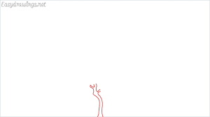 How to draw apple tree step by step. How To Draw A Apple Tree Step By Step For Beginners