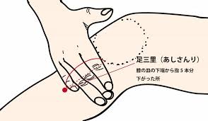 足・内臓の症状へのツボ押し 【足三里】｜鍼灸整骨院和み