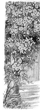 Book of flowers by anniecoloring premium digital art for you! Flowers Free Adult Coloring Pages