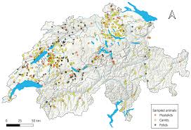 Investigations on the Potential Role of Free-Ranging Wildlife as a  Reservoir of SARS-CoV-2 in Switzerland