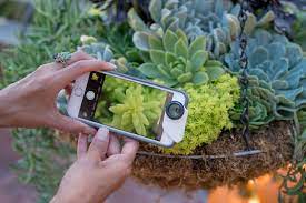 Cara Menggunakan Mode Kamera Makro Pada Smartphone - TeknoReview