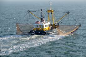 Image result for trawling