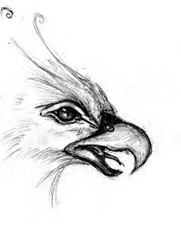 In their first solo gallery exhibition in the united states, english artists john wood and paul harrison arrive just in time and too late. Phoenix Bird Sketch Bird Sketch Bird Drawings Phoenix Drawing