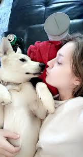 anyone else's pup always have her tongue sticking out?😂🤦🏼‍♀️