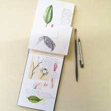 To access this complete series as well as the other live lessons, video courses and more, visit thevirtualinstructor.com/members check out 3 free course videos and ebooks. Botanical Illustration Pen Ink And Watercolors Botanicalillustration
