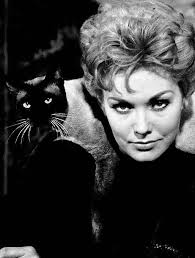 Happy National Cat Lady Day! 🐾🎉 April 19th is dedicated to all the  incredible humans who shower their feline friends with endless love and  care. Whether you're a proud cat lady yourself