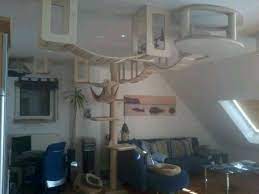 Maybe you would like to learn more about one of these? Intricate Cat Walkway On The Ceiling Cat Tree Plans Cool Cat Trees Cat Shelves