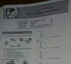 Jual produk un 2019 detik detik usbn murah dan terlengkap maret. Kunci Jawaban Detik Detik 2018 2019 Sd Try Out 3 Ipa Semua Nomor Brainly Co Id