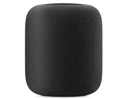 Apple Homepod Space Grey Online Shopping Site In India Get 2hrs Delivery December 2020