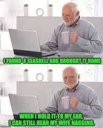 Funny Seashell Memes Insurance Agent Life Insurance Quotes Memes