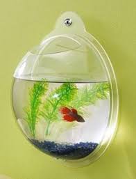Unique Fish Bowls Fish Bowls Centerpiece Designs By Opulent Items Unique Round Fish Bowl Bubble Wall Fish Bowl Teenage Girl Room