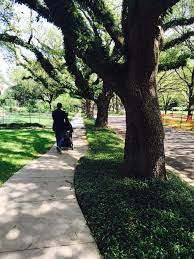 Contact Support Park Playground Love Park