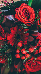 Und wer hat schon die folge von morgen in der mediathek gesehen? Red Flower Iphone Wallpapers Top Free Red Flower Iphone Backgrounds Wallpaperaccess