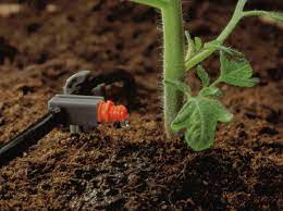 Check spelling or type a new query. Comment Choisir Son Systeme D Arrosage Goutte A Goutte Leroy Merlin