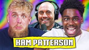 Jake Paul & Steve-O Lose Their MINDS, Exposing Dana White, & Doing  Testosterone