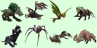 Birds of prey are a hunter pet family with the cunning specialization. Wow Petopia On Twitter Maldraxxus Pets Thread I Ve Finally Finished My First Pass On The Zone And Updated Our Database As Expected Deathly Undead Looking Pets Abound See Our Full Shadowlands Guide