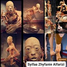 Controversy over human remains display in 798 underground museum