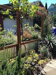 We even have wrought iron fences for grapevine homes. Garden Fences Metal Raised Garden Beds Garden Fencing Corrugated Metal Raised Garden Beds