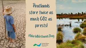 Wetlands have several important ecological roles. World Wetlands Day Gwp