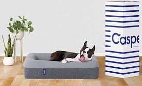 The Casper Dog Bed Is A Pet Paradise Pet Mattress Dog Mattresses Memory Foam Dog Bed