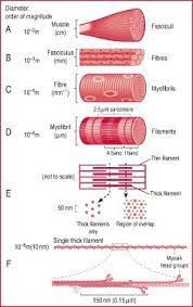 Pin On Bioquimica