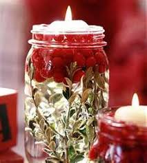 Image result for decorating with cranberries Vines