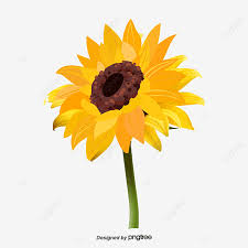 Smile sun greenland face eye sun transparent png clip art png. Gambar Vektor Bunga Matahari Clipart Bunga Matahari Bunga Matahari Kuning Png Transparan Clipart Dan File Psd Untuk Unduh Gratis