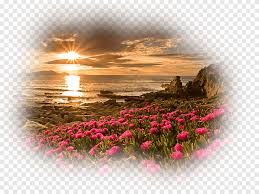 Download hd 4k ultra hd wallpapers best collection. 1440p Png Images Pngegg