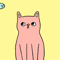 We offer how to draw, a step by step drawing tutorials for kids and beginners. Best Kucing Menonton Ikan Gifs Primo Gif Latest Animated Gifs