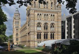 Photo of University for chemistry Program in UK- Imperial College London