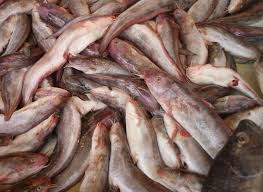 Philippines illustrated 21.700 views5 year ago. Philippine Food Illustrated Hito Philippines Food Food Philippine