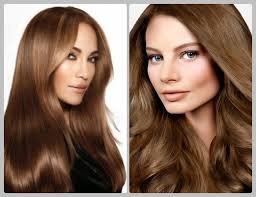 Light Brown Hair Color Highlights For Brunette