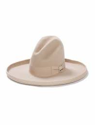 Ad Ebay Url Stetson Cowboy Hat 6x Tom Mix Beaver Fur Silverbelly 5 Brim Freehatbrush Stetson Cowboy Hats Cowboy Hats Cowboy Hat Styles