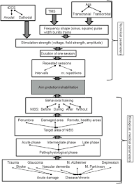 Non Invasive Electrical Brain Stimulation From Acute To