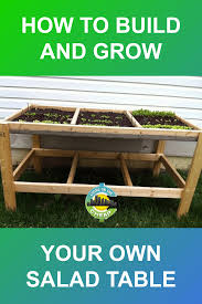 How To Build And Grow Your Own Salad Table Living On The Cheap In 2020 Frugal Recipes Healthy Growing Budget Friendly Recipes
