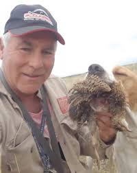 LOS PERROS ME HAN DADO TANTO...." por Oreste González