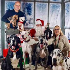 Great danes (graysville al) pic. Great Dane Rescue Alliance Home Facebook