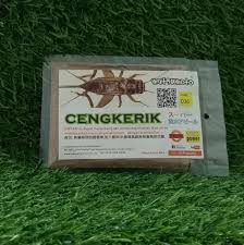 Yandex.translate works with words, texts. Cengkerik