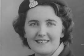 How the Irish love of horses led to 20,000 working