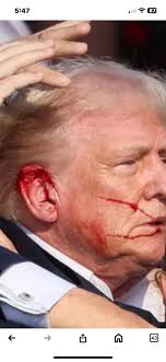 Trump Assassination Attempt Authenticity and Potential Motives