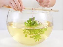 Waldmeisterbowle Selber Machen So Geht S Lecker Waldmeisterbowle Bowle Waldmeister