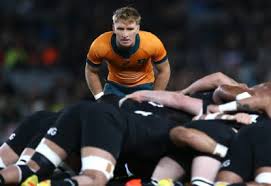 The blockbuster test will see the wallabies return to optus stadium for the first time since their memorable victory back in 2019. Xjyoes1oa7sx8m